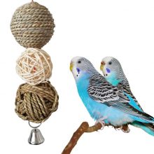 Swinging Chewing Ball for Parrots