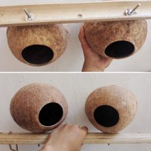 Coconut Shape Wooden House For Birds