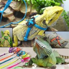 Adjustable Harness With Leash For Reptile