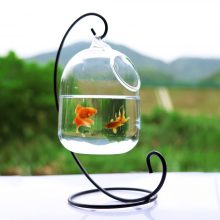 Hanging Glass Aquarium For Fish
