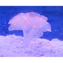 Artificial Coral Plant with Sucker