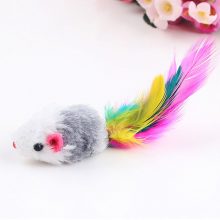 Cat’s Feather Toys 10 pcs Set