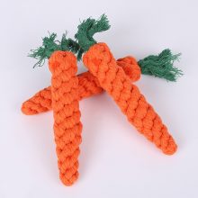 Scratching Carrots Toy for Cats
