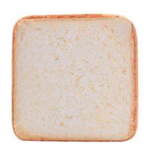 Bread Toast Design Soft Sponge Cat Mat